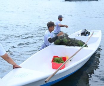 Sepanjang 2025, TJSL PLN Peduli Jangkau Lebih dari 700 Ribu Penerima Manfaat di Seluruh Indonesia