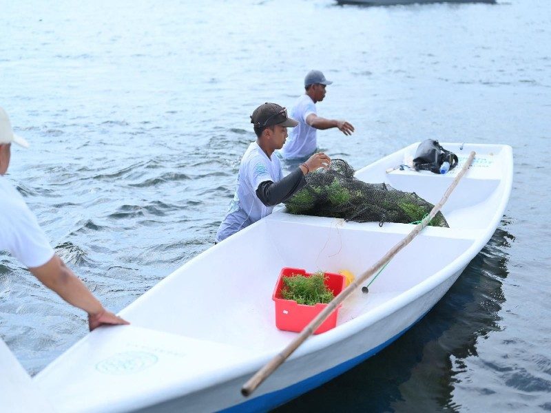 Sepanjang 2025, TJSL PLN Peduli Jangkau Lebih dari 700 Ribu Penerima Manfaat di Seluruh Indonesia