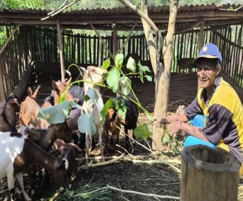 Tamat SD, Tapi Berhasil Sekolahkan Tiga Anak Jadi Sarjana