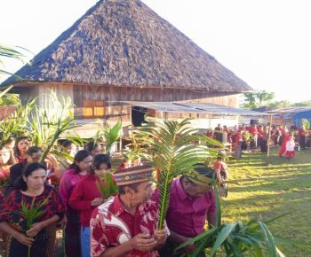 Minggu Palma di Paroki Ekuador, Umat Diingatkan Tetap Setia dalam Iman