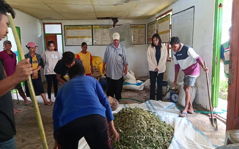 Sekolah Lapang Program TEKAD di Desa Golo Lambo, Kelompok Tani Antusias Kembangkan Hortikultura Organik