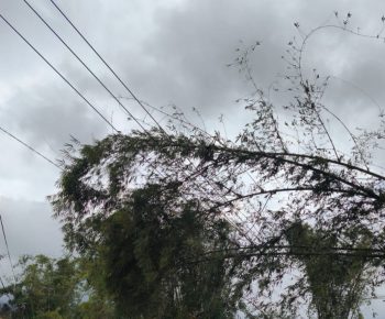 Cuaca Ekstrem Sebabkan Jaringan Listrik 20 KV Rusak