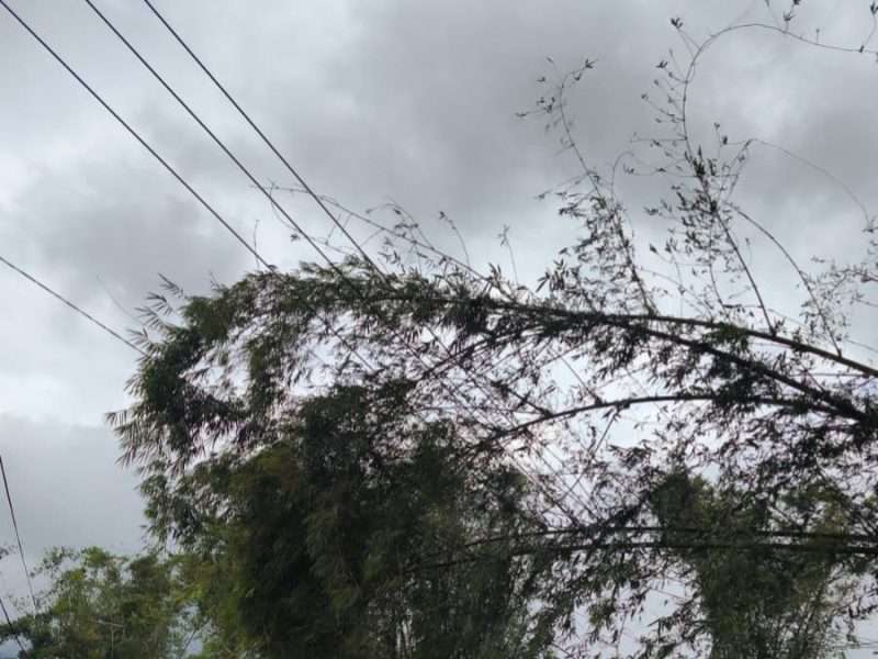 Cuaca Ekstrem Sebabkan Jaringan Listrik 20 KV Rusak
