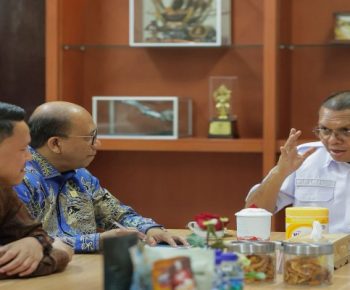 PLN dan Pemprov NTT Gelar Audiensi, Perkuat Sinergi Transisi Energi di NTT