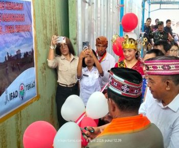 Resmi Diluncurkan Bupati Manggarai, Beras Premium Molas Manggarai Siap Bersaing di Pasaran