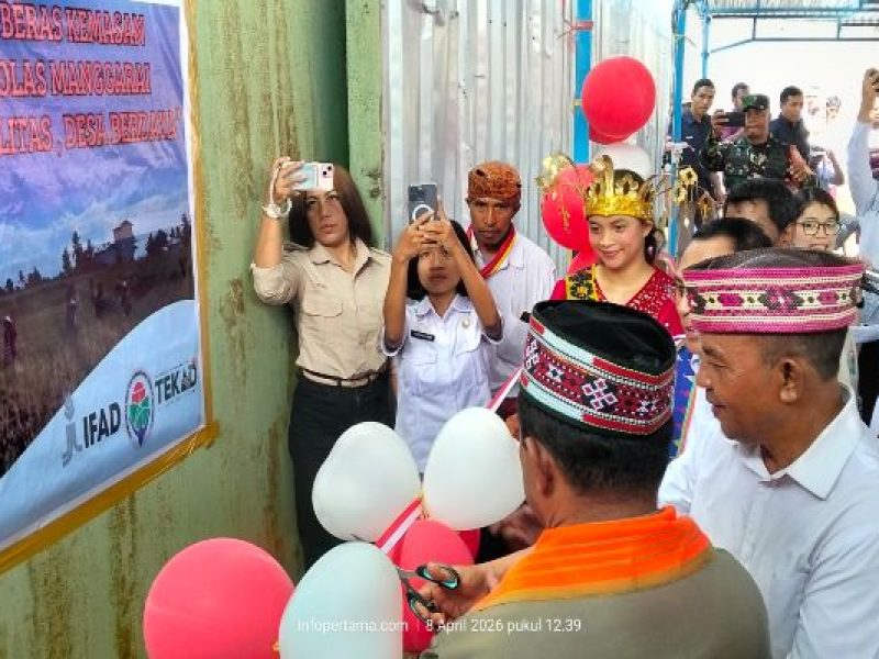 Resmi Diluncurkan Bupati Manggarai, Beras Premium Molas Manggarai Siap Bersaing di Pasaran