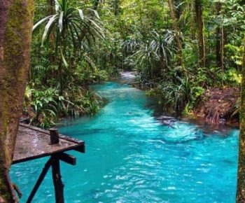 Menjaga Air Tetap Bening, Tugas Pemikir di Tengah Kekeruhan Zaman