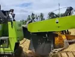 Panen Padi di Reok Gunakan Combine Harvester, Pemkab Manggarai Tekan Biaya dan Tingkatkan Efisiensi