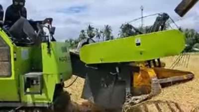 Panen Padi di Reok Gunakan Combine Harvester, Pemkab Manggarai Tekan Biaya dan Tingkatkan Efisiensi