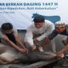 Rayakan Idul Adha 1447 H, PLN UIP Nusra Salurkan 18 Ekor Sapi dan 9 Ekor Kambing untuk Masyarakat