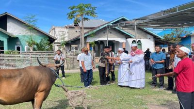 Idul Adha 1447 H, Pemkab Manggarai Salurkan Hewan Kurban untuk Masyarakat Desa Nuca Molas