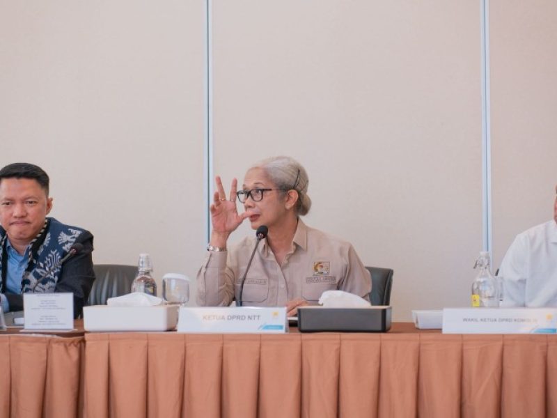 Konsultasi DPRD Provinsi NTT ke PLN UIP Nusra, Penguatan Strategi Edukasi Publik Pengembangan Geothermal di NTT