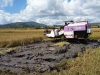 Dinas Pertanian Manggarai Uji Coba 2 Unit Combine Harvester di Lingko Lanar Cancar