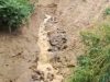 Seluruh Wisatawan di Wae Rebo Berhasil Dievakuasi