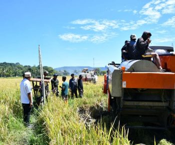 Modernisasi Pertanian Manggarai: Pj. Sekda Buka Pelatihan Operator Combine Harvester dan Panen Raya di Kecamatan Reok