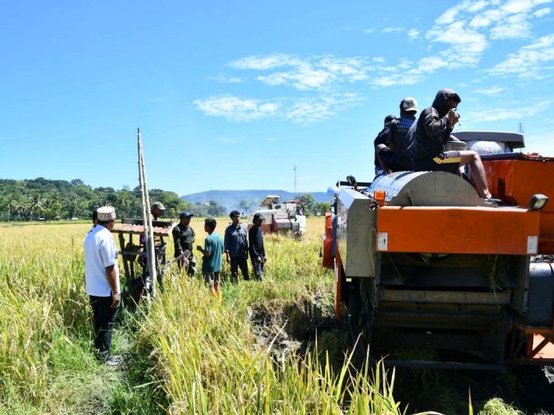 Modernisasi Pertanian Manggarai: Pj. Sekda Buka Pelatihan Operator Combine Harvester dan Panen Raya di Kecamatan Reok