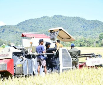 Panen Simbolis dengan Combine Harvester Tekan Biaya Operasional hingga 70%