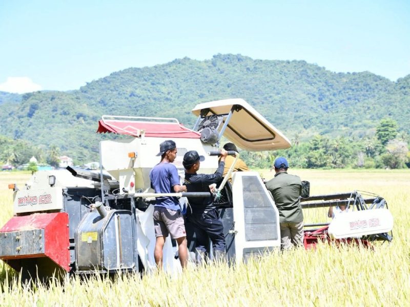 Panen Simbolis dengan Combine Harvester Tekan Biaya Operasional hingga 70%