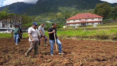 Pemerintah Manggarai Mulai Olah Lahan di Stadion Golo Dukal, Bupati Tekankan Komitmen Pertanian Produktif