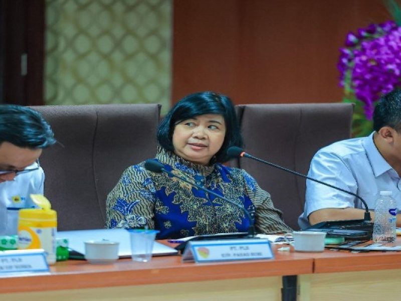 Perkuat Edukasi Geothermal, PLN Gandeng Ahli UGM Jelaskan Fenomena Alam di Flores