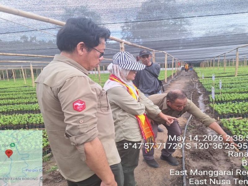 Kementan