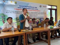 Pembayaran Ganti Rugi Rampung, PLN UIP Nusra Siap Lanjutkan Pembangunan Akses Jalan PLTP Ulumbu Unit 5