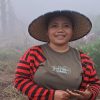 Program Agroforestry Hetero PLN di Desa Wewo, Wujud Aspirasi Masyarakat Adat