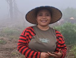Program Agroforestry Hetero PLN di Desa Wewo, Wujud Aspirasi Masyarakat Adat