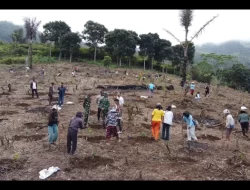 PLN UIP Nusra Luncurkan Program Agroforestry Hetero, Dukung Kemandirian Ekonomi Masyarakat Desa Wewo