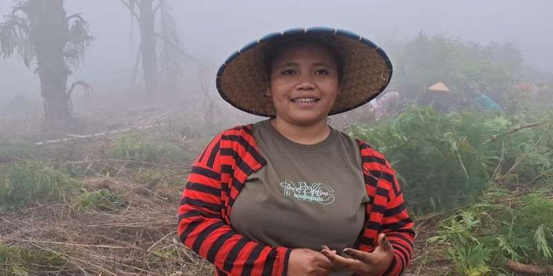 Agroforestry Hetero