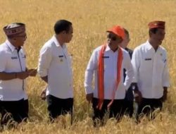Wakil Bupati Manggarai Dorong Generasi Muda Tekuni Sektor Pertanian