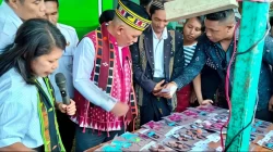 Kreativitas Pemuda