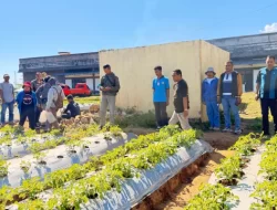 Bupati Manggarai Tinjau Pemanfaatan Lahan Tidur dan Kesiapan Venue Kongres Nasional PMKRI ke-34