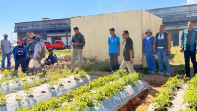 Bupati Manggarai Tinjau Pemanfaatan Lahan Tidur dan Kesiapan Venue Kongres Nasional PMKRI ke-34
