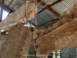 Metafisika Gempa: Ketika Bumi Menjalankan Liturgi Keseimbangannya Sendiri