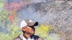 Di Tengah Penanganan Gempa M7,7, Kebakaran Hutan Terjadi di Wae Kebong Cibal