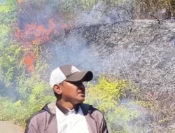 Di Tengah Penanganan Gempa M7,7, Kebakaran Hutan Terjadi di Wae Kebong Cibal