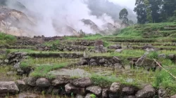 Manfaat Kehadiran PLTP Ulumbu