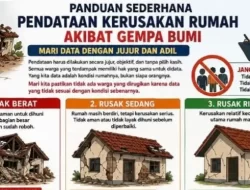 Pemerintah Rilis Panduan Lengkap Jenis Kerusakan Bangunan Pascagempa Flores