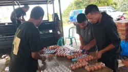 Tangan Kasih di Tengah Duka, Paroki HKY Golowelu Salurkan Bantuan untuk Korban Gempa