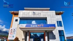 Pascagempa Bumi, Bank NTT Cabang Ruteng Pastikan Pelayanan Tetap Berjalan dan Pengalihan Kantor Sementara