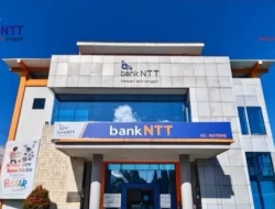 Pascagempa Bumi, Bank NTT Cabang Ruteng Pastikan Pelayanan Tetap Berjalan dan Pengalihan Kantor Sementara
