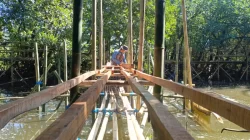 PLN UIP Nusra Hidupkan Kembali Potensi Ekowisata Padak Guar Lewat Penanaman 3.000 Bibit Mangrove