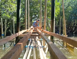 PLN UIP Nusra Hidupkan Kembali Potensi Ekowisata Padak Guar Lewat Penanaman 3.000 Bibit Mangrove