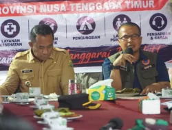 BNPB Minta Pembangunan Huntara Gempa Manggarai Dipercepat