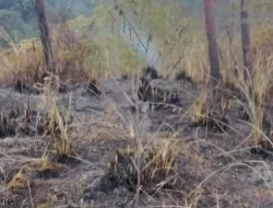 17 Kebakaran Landa Manggarai di Tengah Darurat Gempa M7,7