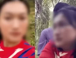 Link Video Viral Ibu Tiri vs Anak Tiri di Kebun Sawit, Awas Bahaya Mengintai