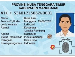 Bukan Sekadar Angka Acak! Ini Cara Membaca Arti 16 Digit NIK KTP Lengkap dengan Contohnya