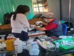Peluk Sehat Mobile Bawa Layanan Bedah dan Psikososial ke Ringkas, Desa Perak