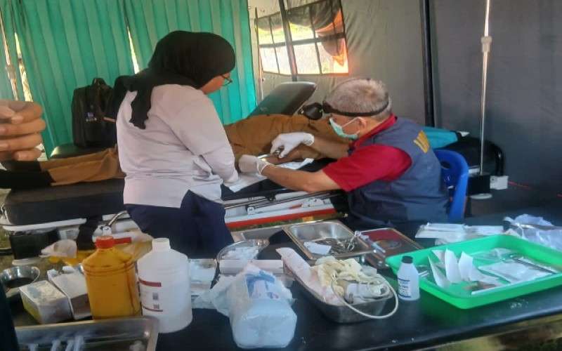 Peluk Sehat Mobile
